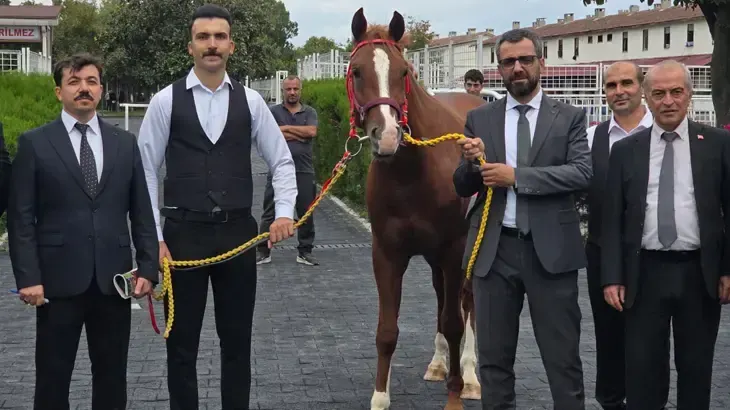 TİGEMのエリート子馬オークションで5,160万リラの売上